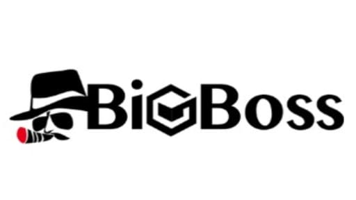 BigBoss ロゴ